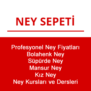 Bitlis Profesyonel Ney